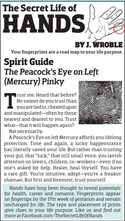 523384_361263290653360_1537944305_n